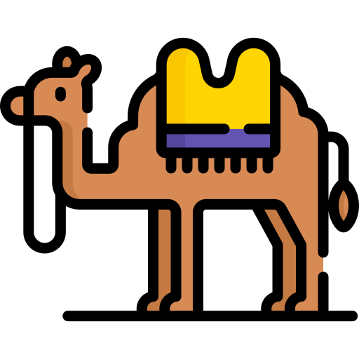 Cammello